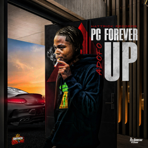 Pc Forever Up