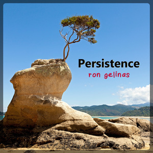 Persistence