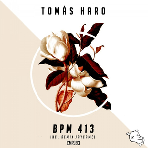 Bpm 413 (JayCamel Remix)