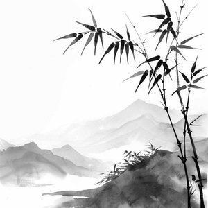 无糖的年纪