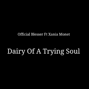 Dairy Of A Trying Soul