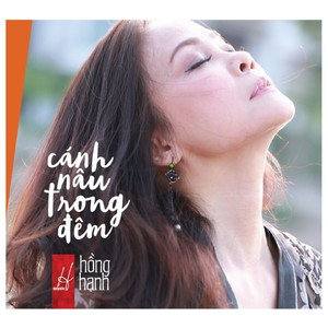 Vì Em Đã Yêu Anh