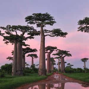 回应