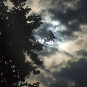 墓碑（prod by房间里的大象）