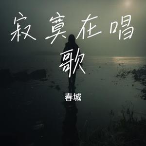 寂寞在唱歌