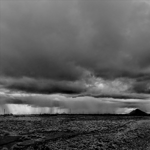 I’ll Fight for You