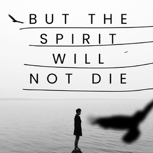 When the sun radiates ray