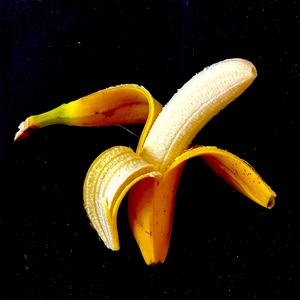 J'oublierai les cons