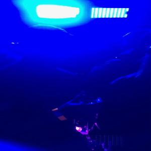 It's Not Your Fault dood