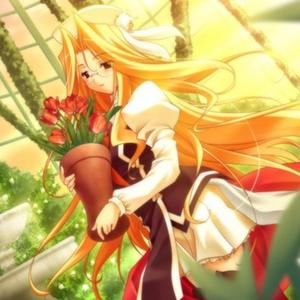 贵女とお茶を--遥かに仰ぎ-丽しの-OST 钢琴版