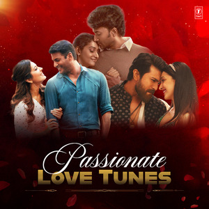 Teri Meri (From "Zebra")