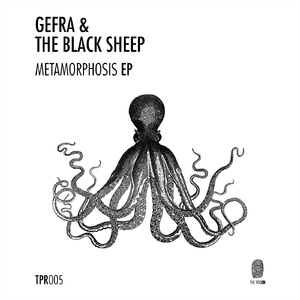 Metamorphosi (Original Mix)