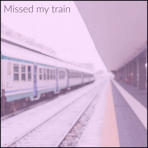 I missed my train