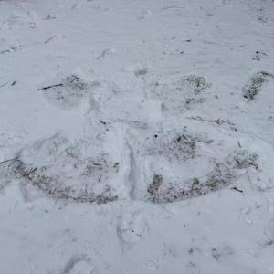 places we used to call ours