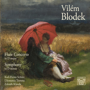 Concerto for Flute and Orchestra in D Major:III. Allegro