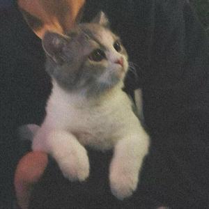 夏天的风_思辰er