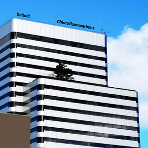 Another World (Introduction)