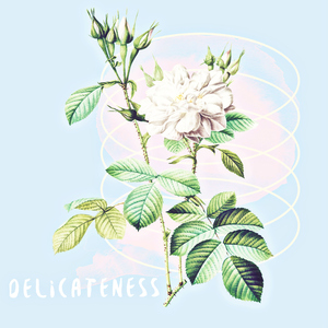 Delicateness