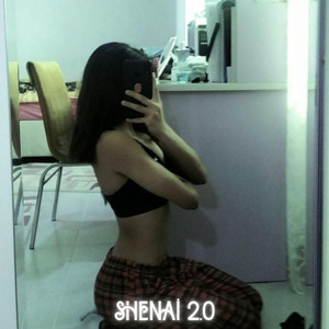 Shenai 2.0