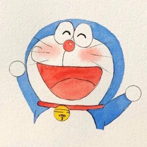 泽西