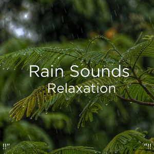 수면을위한 주변 소리