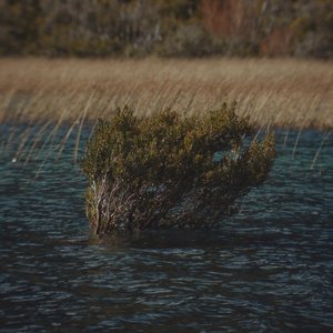 Huella