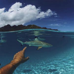 Gangstas Paradise（加洛Remix）