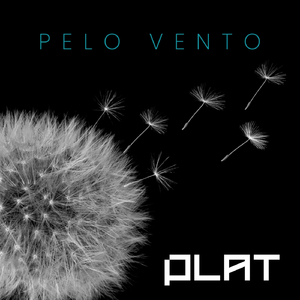 Pelo Vento