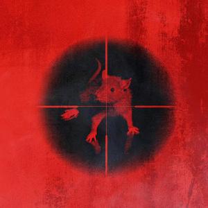 Ninja（prod by Red Killer）