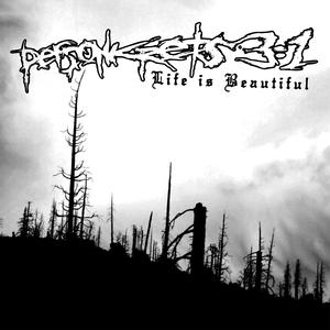 Declaration of war/Life is beautiful