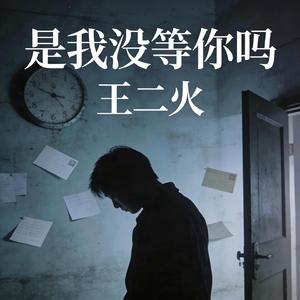是我没等你吗