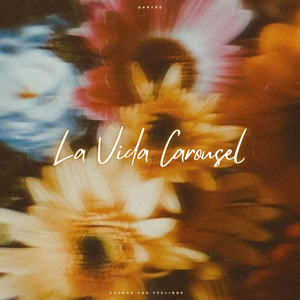 La Vida Carousel