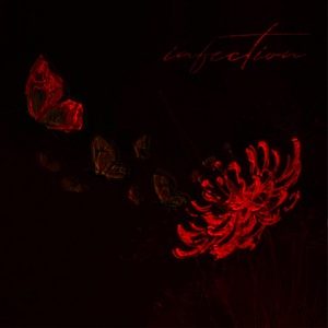 Infection