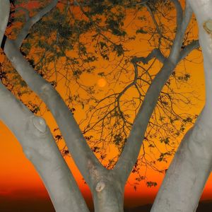 选了靠窗的位置