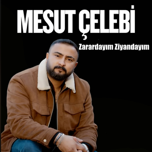 Zarardayım Ziyandayım