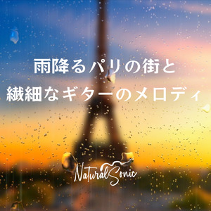 Boulevard Reflections