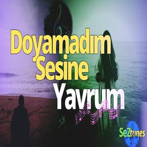 Doyamadim Sesine Yavrum