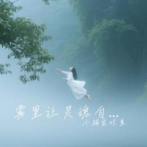 雾里让灵魂自由呼吸