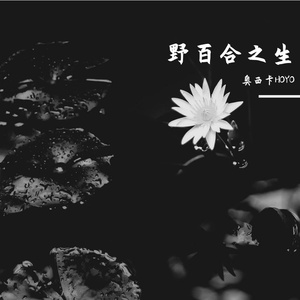 雨后的街和温柔的月