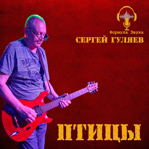 Птицы