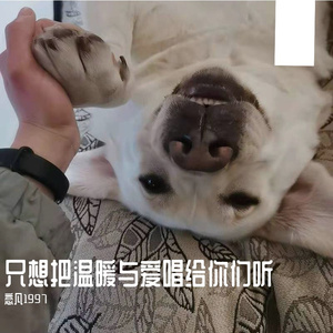 追光者（翻自 Joker one）