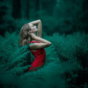 Op.42 :Ich kann's nicht fassen