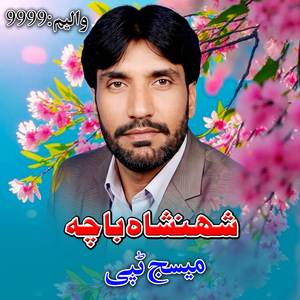 Zargiya Kin Shah