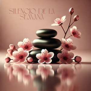 Donde Empieza el Silencio