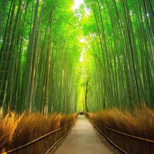 Beat Drops to My Heartache