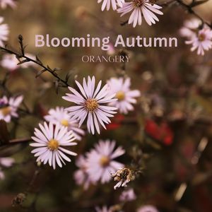 Blooming Autumn