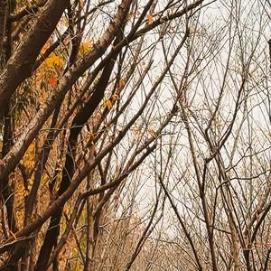 On the edge of the night