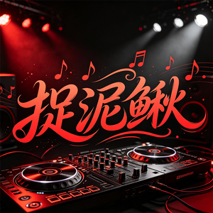捉泥鳅(DJ版)