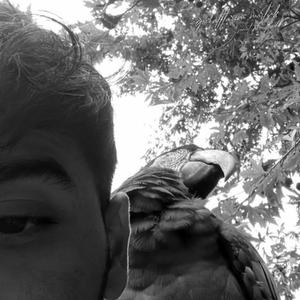 göz altlarım morluk