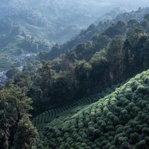 《钢琴白噪音的入眠之约》人029